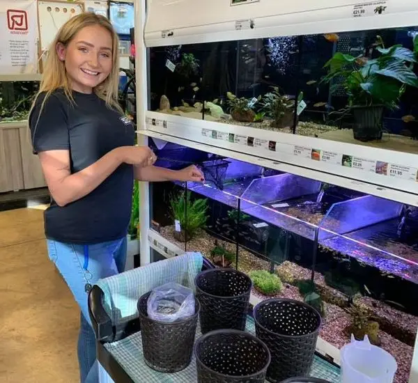 aquarium alys