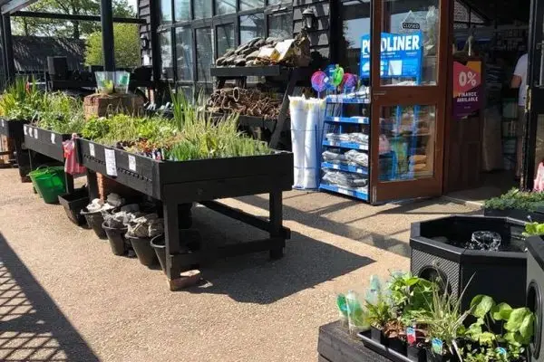 pond plants