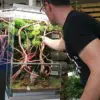 George Farmer Biopod