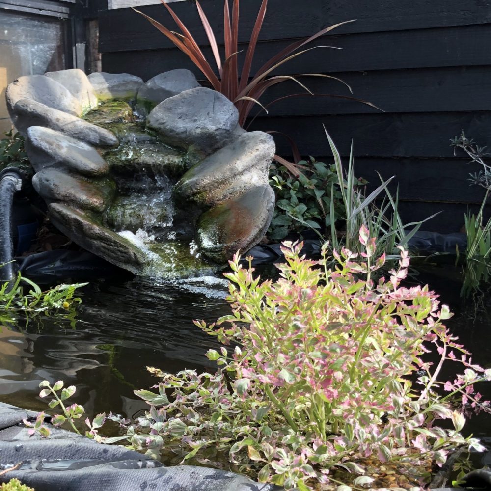 Photo 13-04-2019, 10 26 18