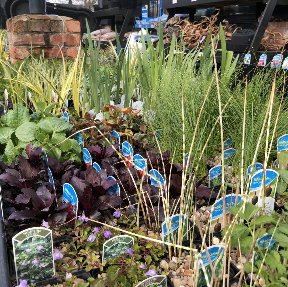 Photo 13-04-2019, 10 27 57
