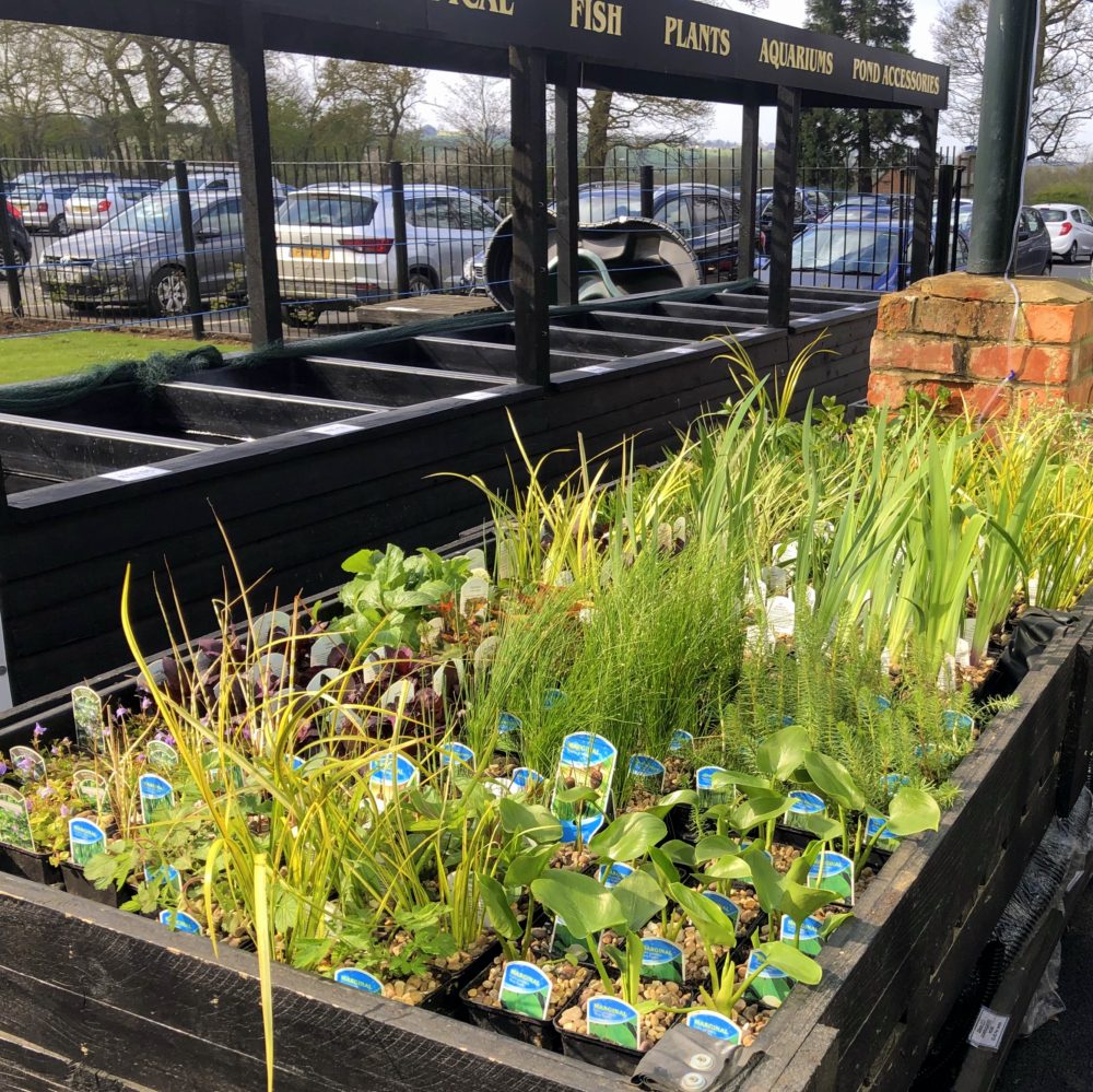 Photo 13-04-2019, 10 28 07