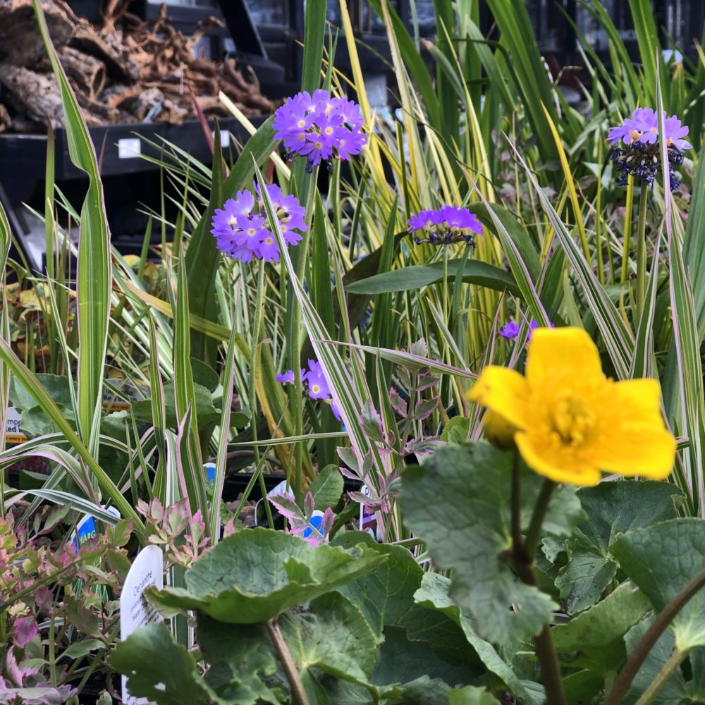 Photo 13-04-2019, 10 30 03