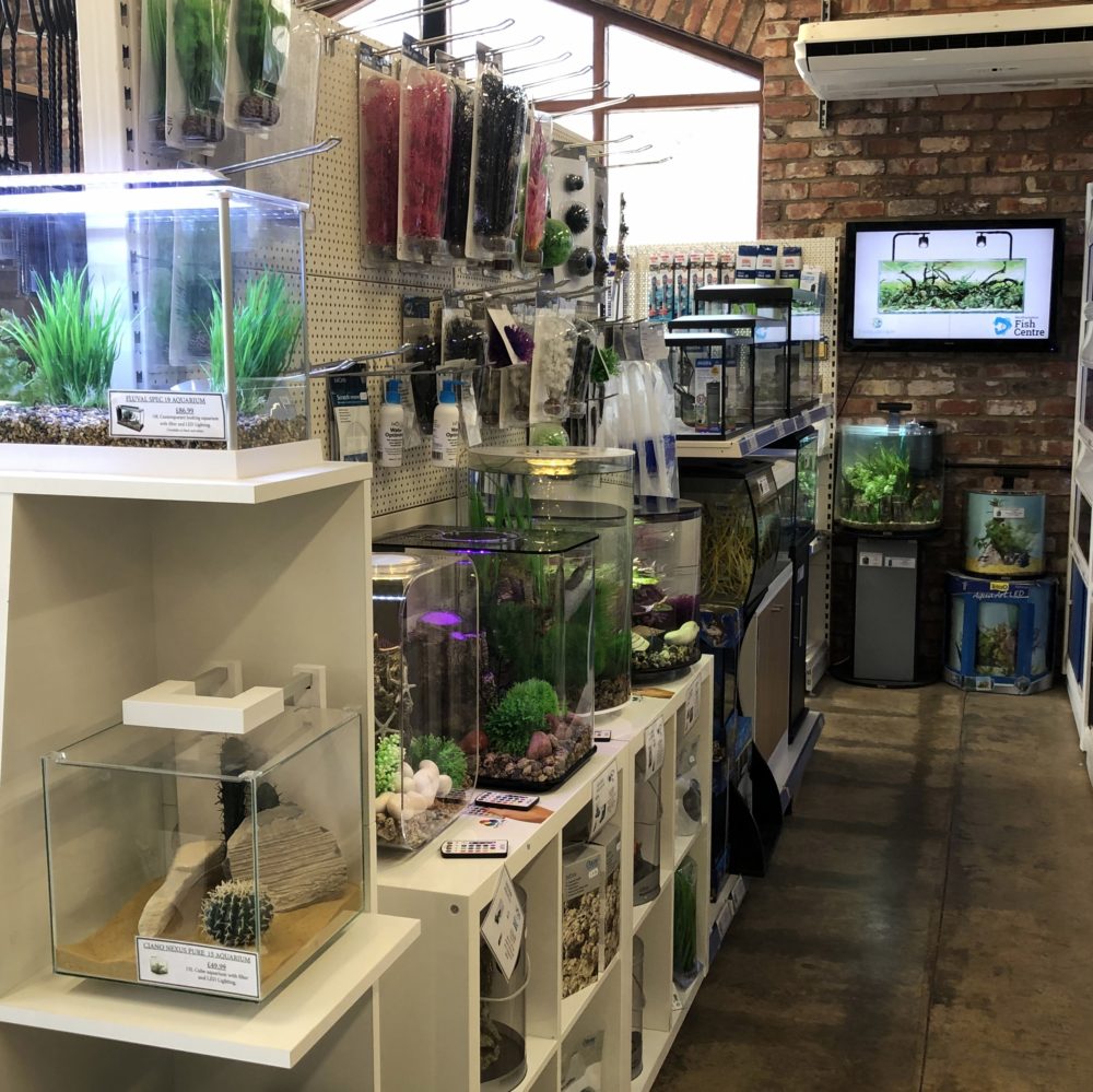 Photo 13-04-2019, 10 56 49