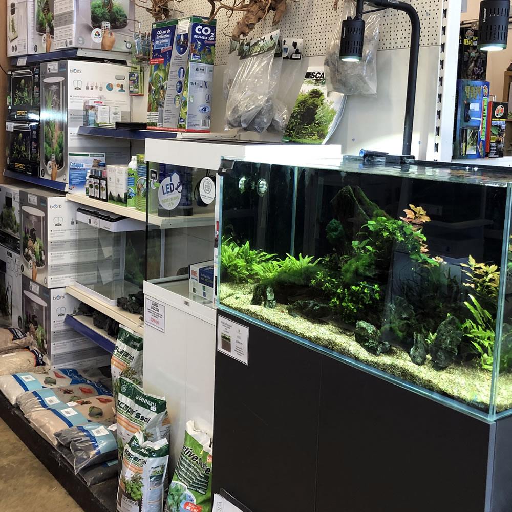 aquarium 3