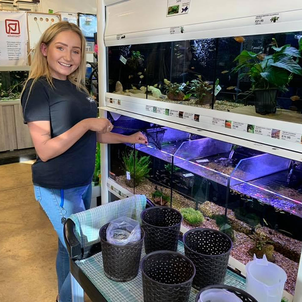 aquarium alys